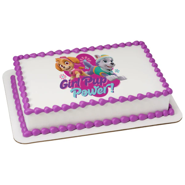 Paw Patrol Girl Pup Power Cake